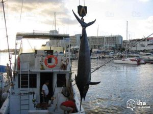 azzorre-economia-pesca