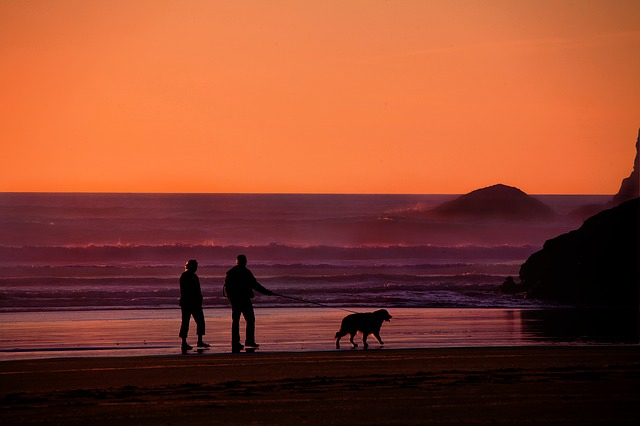 Al tramonto con il cane alle Azzorre