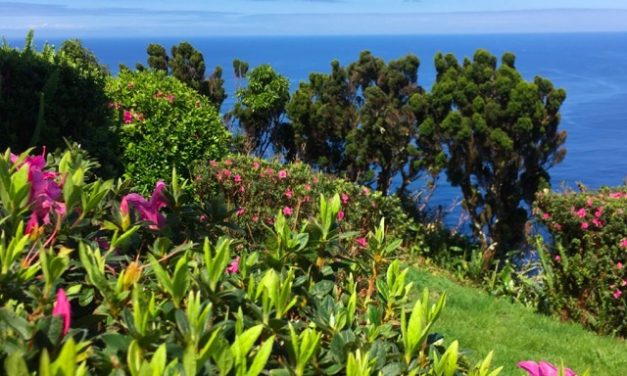 Giardini sull’Oceano, São Jorge – Azzorre