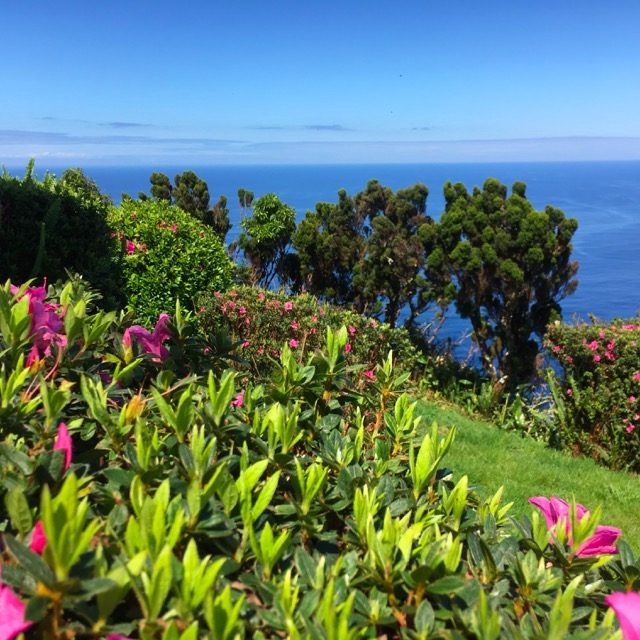 Giardini sull’Oceano, São Jorge – Azzorre
