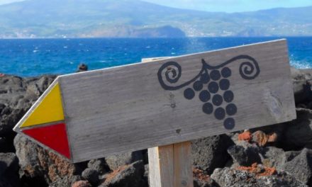 La rotta dei Vini, Pico – Azzorre