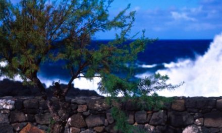 Le Onde a Pico