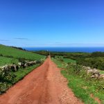 Strade rurali a Sao Jorge Azzorre