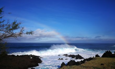 Terceira (Isola Lilla)